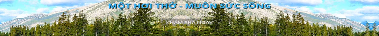 Máy lọc không khí Daikin